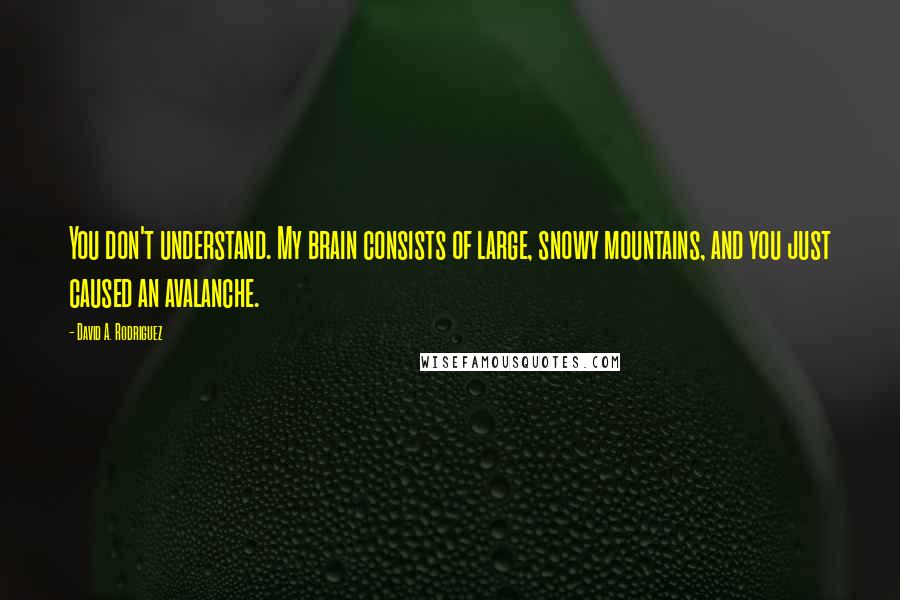 David A. Rodriguez Quotes: You don't understand. My brain consists of large, snowy mountains, and you just caused an avalanche.