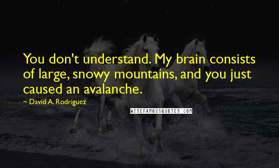 David A. Rodriguez Quotes: You don't understand. My brain consists of large, snowy mountains, and you just caused an avalanche.