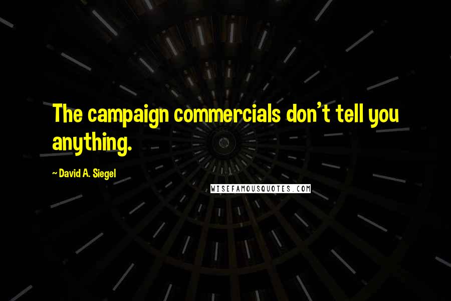 David A. Siegel Quotes: The campaign commercials don't tell you anything.