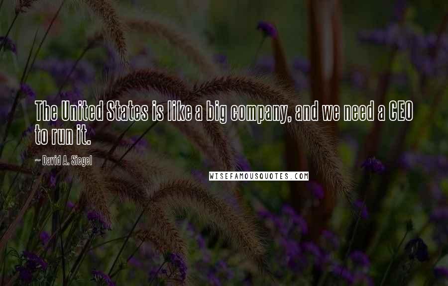 David A. Siegel Quotes: The United States is like a big company, and we need a CEO to run it.