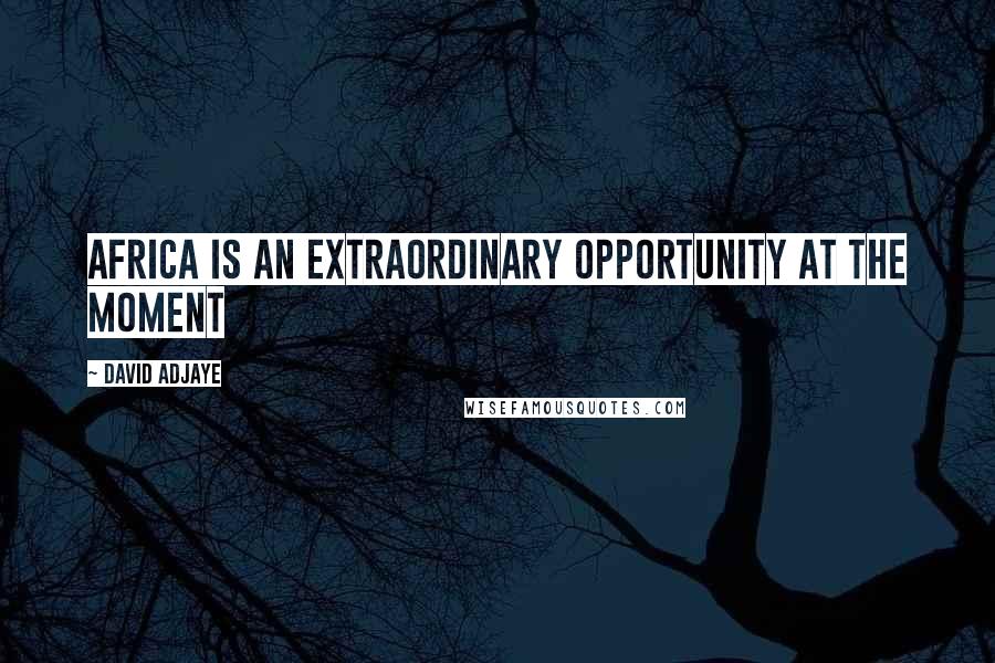 David Adjaye Quotes: Africa is an extraordinary opportunity at the moment