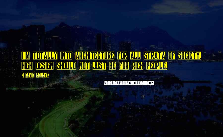 David Adjaye Quotes: I'm totally into architecture for all strata of society. High design should not just be for rich people.