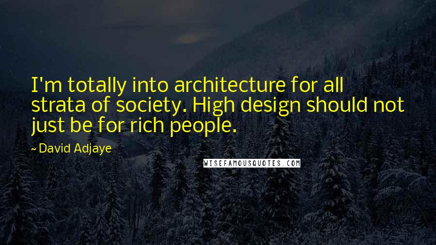 David Adjaye Quotes: I'm totally into architecture for all strata of society. High design should not just be for rich people.