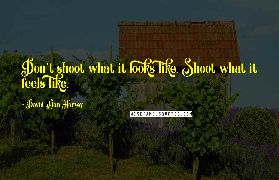 David Alan Harvey Quotes: Don't shoot what it looks like. Shoot what it feels like.