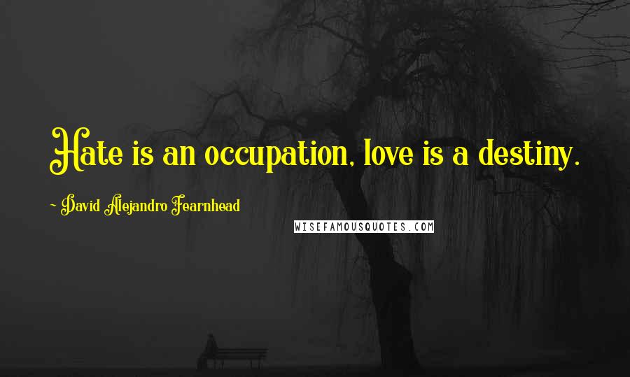 David Alejandro Fearnhead Quotes: Hate is an occupation, love is a destiny.