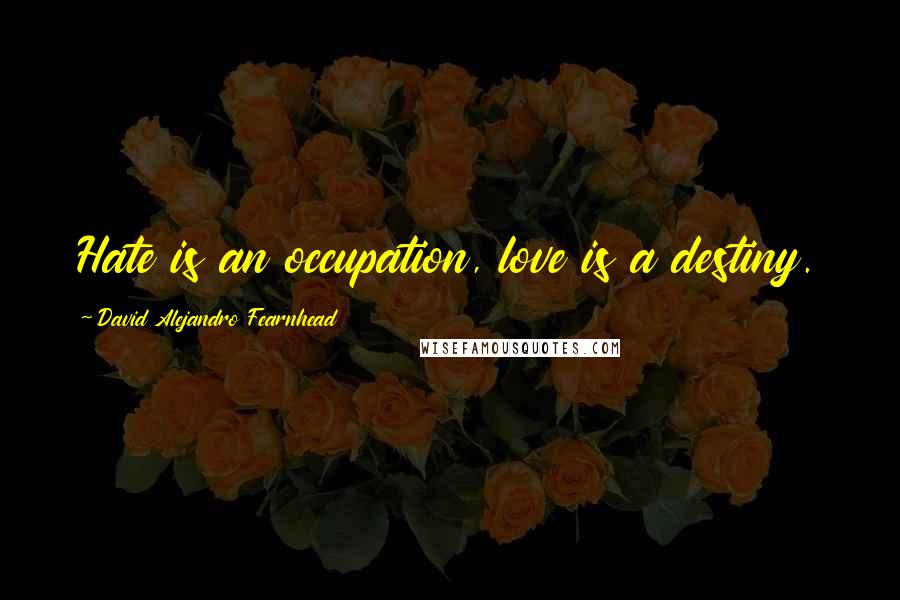 David Alejandro Fearnhead Quotes: Hate is an occupation, love is a destiny.