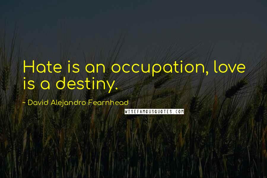 David Alejandro Fearnhead Quotes: Hate is an occupation, love is a destiny.