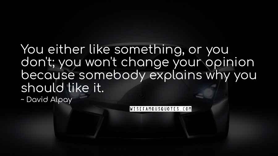 David Alpay Quotes: You either like something, or you don't; you won't change your opinion because somebody explains why you should like it.
