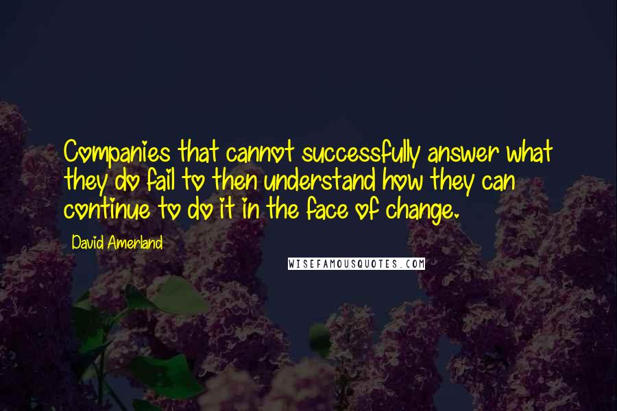 David Amerland Quotes: Companies that cannot successfully answer what they do fail to then understand how they can continue to do it in the face of change.