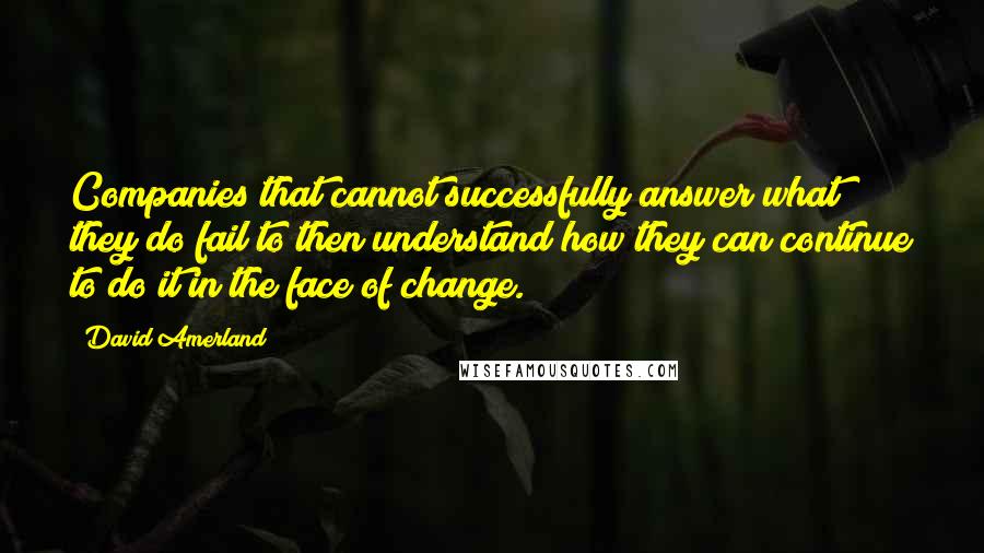 David Amerland Quotes: Companies that cannot successfully answer what they do fail to then understand how they can continue to do it in the face of change.