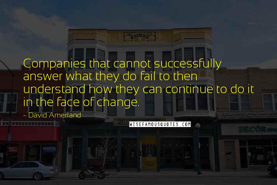 David Amerland Quotes: Companies that cannot successfully answer what they do fail to then understand how they can continue to do it in the face of change.