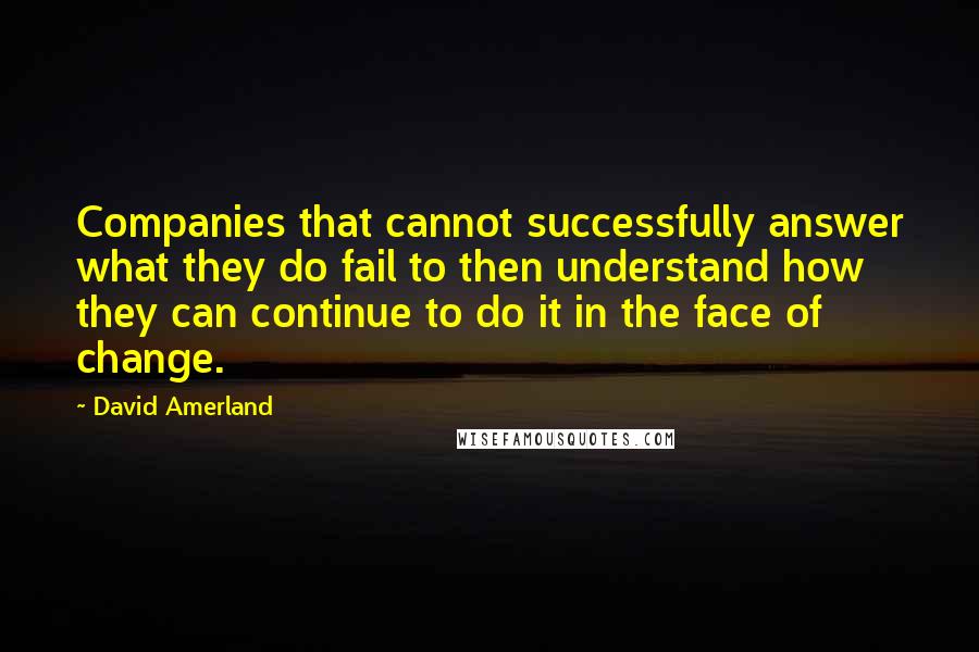 David Amerland Quotes: Companies that cannot successfully answer what they do fail to then understand how they can continue to do it in the face of change.