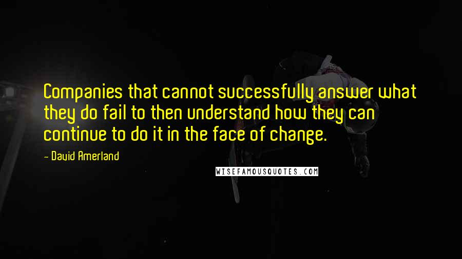 David Amerland Quotes: Companies that cannot successfully answer what they do fail to then understand how they can continue to do it in the face of change.