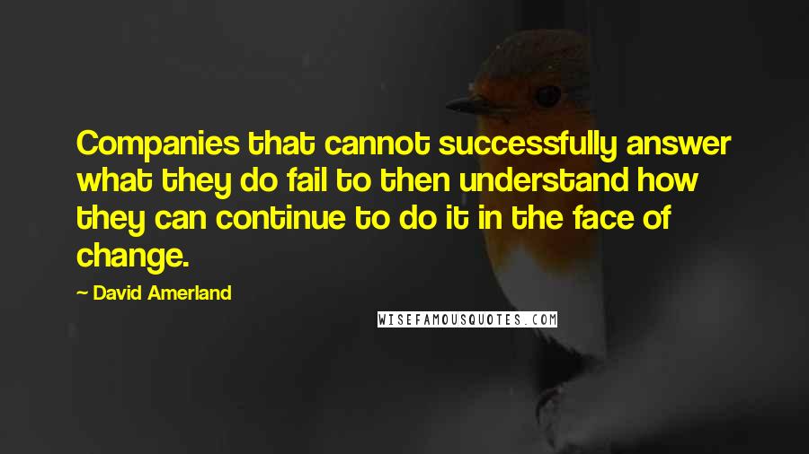 David Amerland Quotes: Companies that cannot successfully answer what they do fail to then understand how they can continue to do it in the face of change.