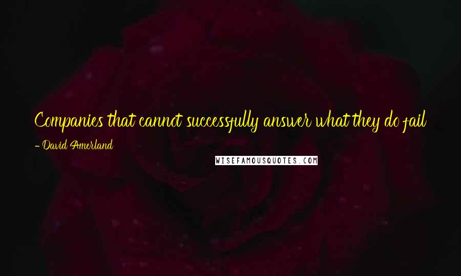 David Amerland Quotes: Companies that cannot successfully answer what they do fail to then understand how they can continue to do it in the face of change.