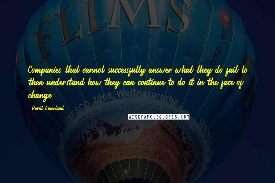 David Amerland Quotes: Companies that cannot successfully answer what they do fail to then understand how they can continue to do it in the face of change.