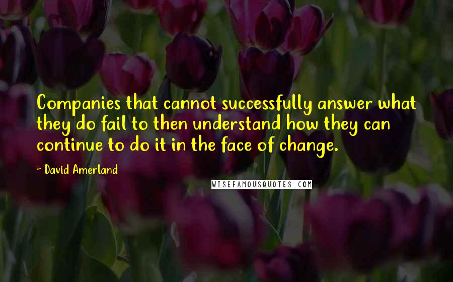 David Amerland Quotes: Companies that cannot successfully answer what they do fail to then understand how they can continue to do it in the face of change.