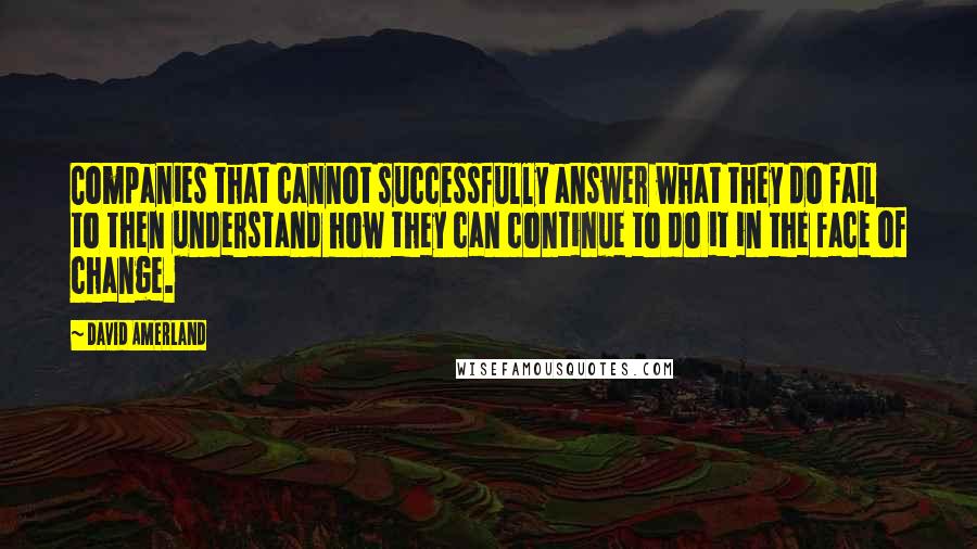 David Amerland Quotes: Companies that cannot successfully answer what they do fail to then understand how they can continue to do it in the face of change.