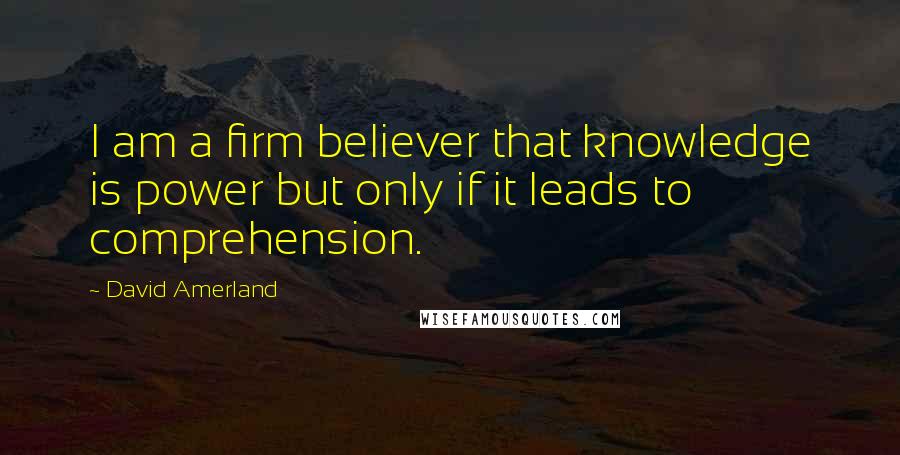 David Amerland Quotes: I am a firm believer that knowledge is power but only if it leads to comprehension.