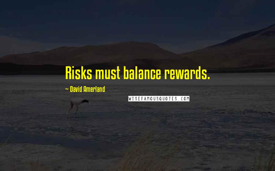 David Amerland Quotes: Risks must balance rewards.
