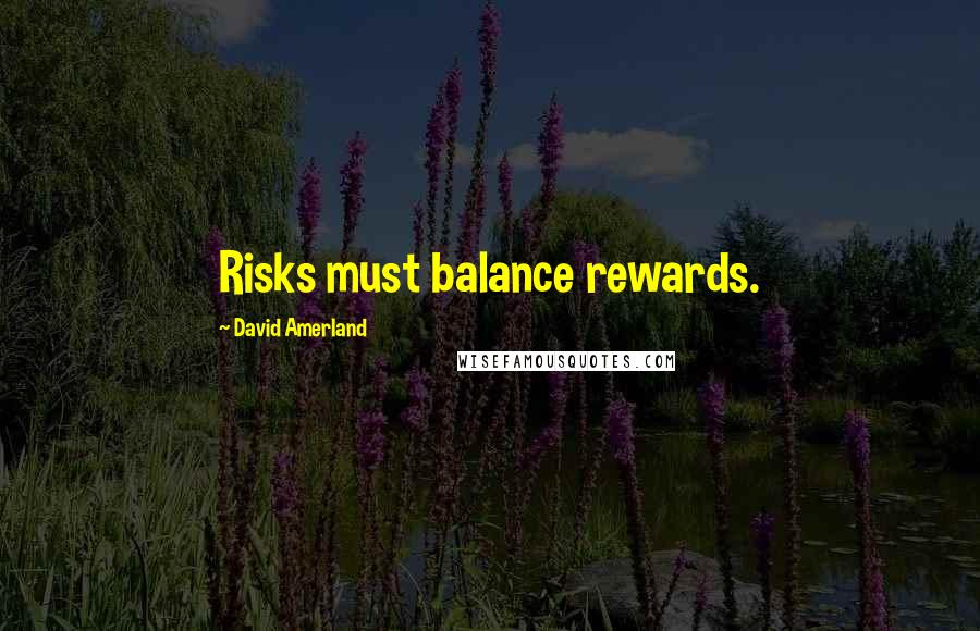David Amerland Quotes: Risks must balance rewards.