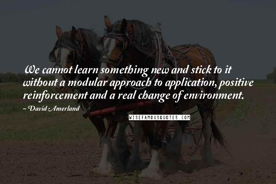 David Amerland Quotes: We cannot learn something new and stick to it without a modular approach to application, positive reinforcement and a real change of environment.