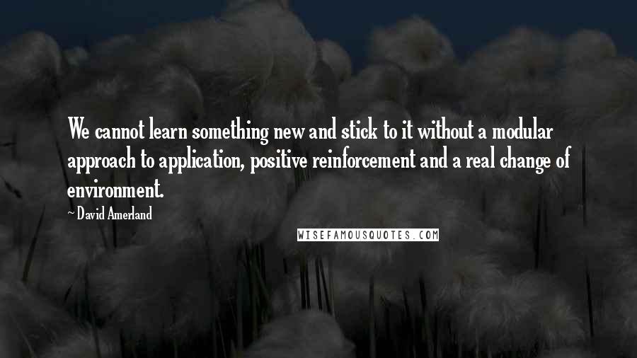 David Amerland Quotes: We cannot learn something new and stick to it without a modular approach to application, positive reinforcement and a real change of environment.