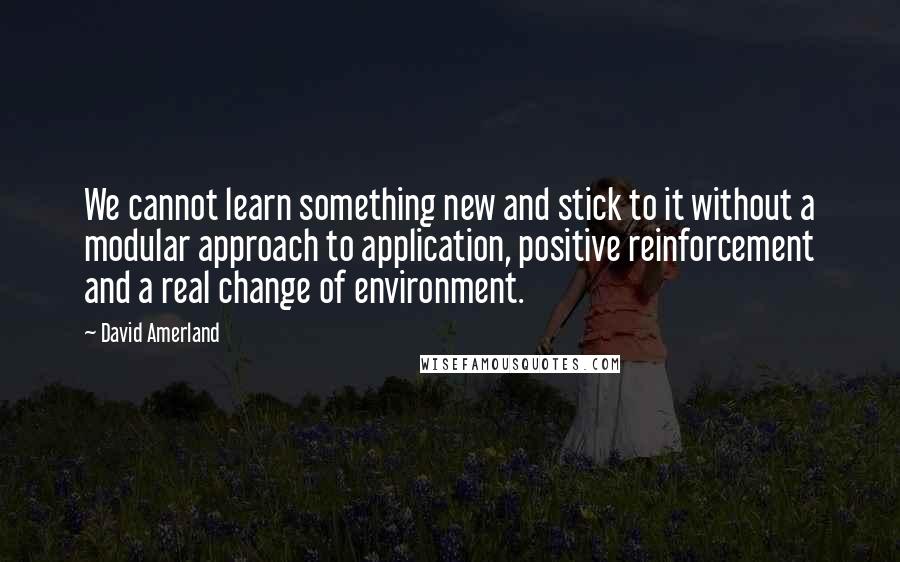 David Amerland Quotes: We cannot learn something new and stick to it without a modular approach to application, positive reinforcement and a real change of environment.