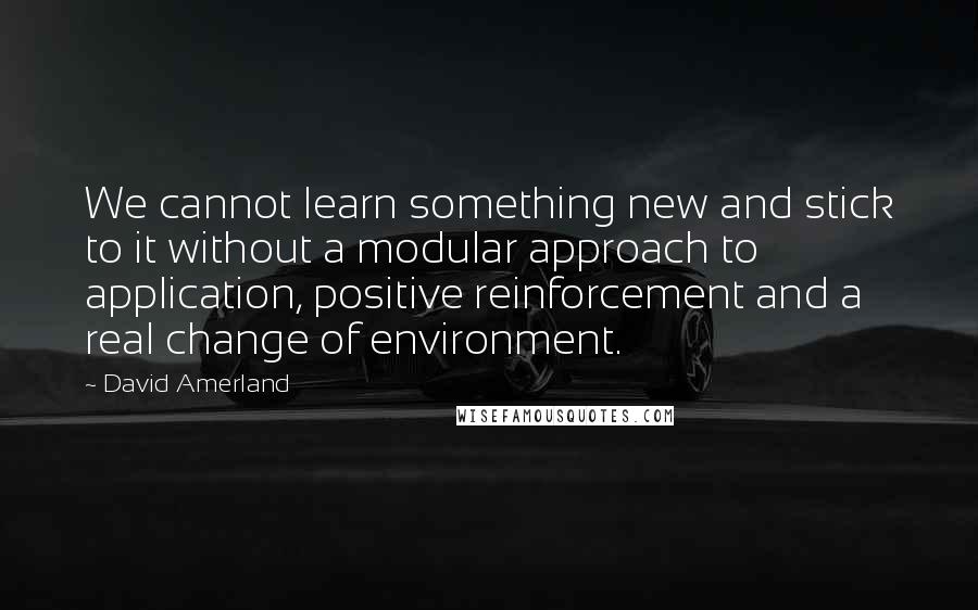 David Amerland Quotes: We cannot learn something new and stick to it without a modular approach to application, positive reinforcement and a real change of environment.