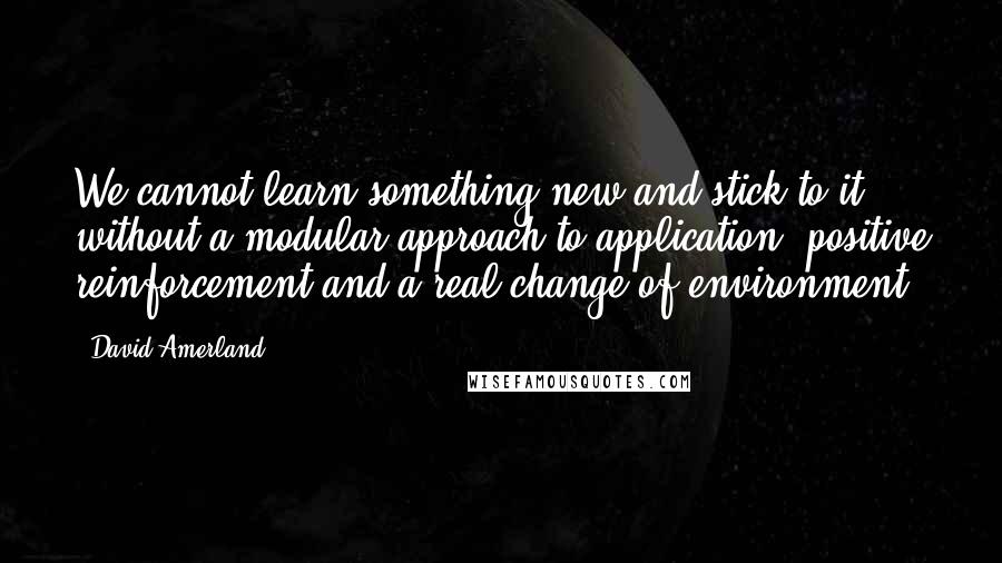 David Amerland Quotes: We cannot learn something new and stick to it without a modular approach to application, positive reinforcement and a real change of environment.