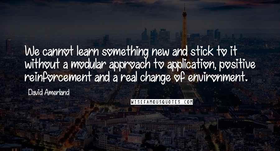 David Amerland Quotes: We cannot learn something new and stick to it without a modular approach to application, positive reinforcement and a real change of environment.