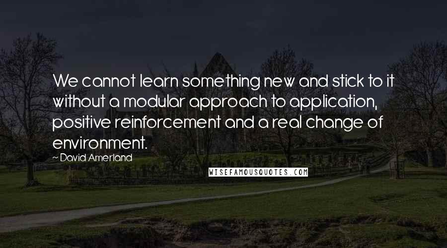 David Amerland Quotes: We cannot learn something new and stick to it without a modular approach to application, positive reinforcement and a real change of environment.