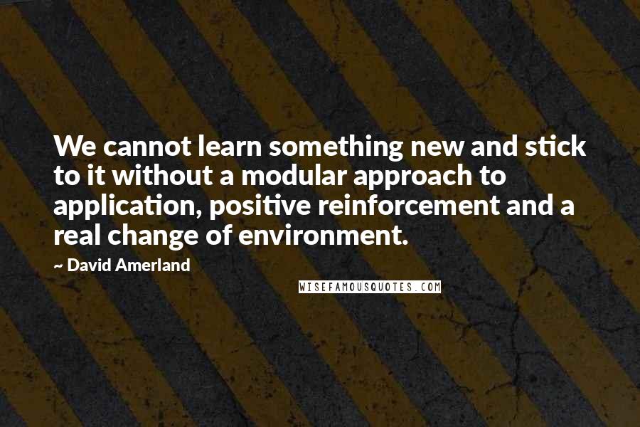 David Amerland Quotes: We cannot learn something new and stick to it without a modular approach to application, positive reinforcement and a real change of environment.