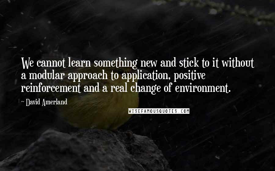 David Amerland Quotes: We cannot learn something new and stick to it without a modular approach to application, positive reinforcement and a real change of environment.