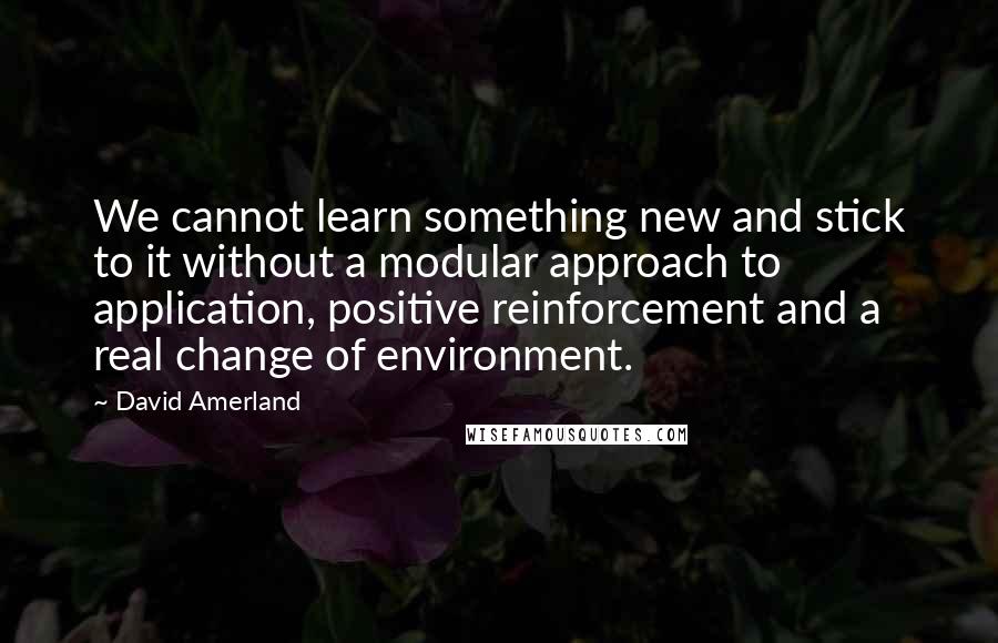 David Amerland Quotes: We cannot learn something new and stick to it without a modular approach to application, positive reinforcement and a real change of environment.