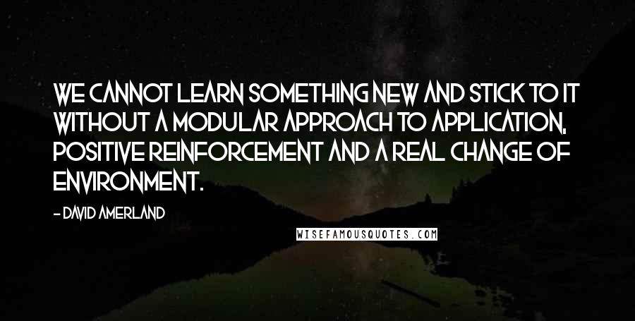 David Amerland Quotes: We cannot learn something new and stick to it without a modular approach to application, positive reinforcement and a real change of environment.