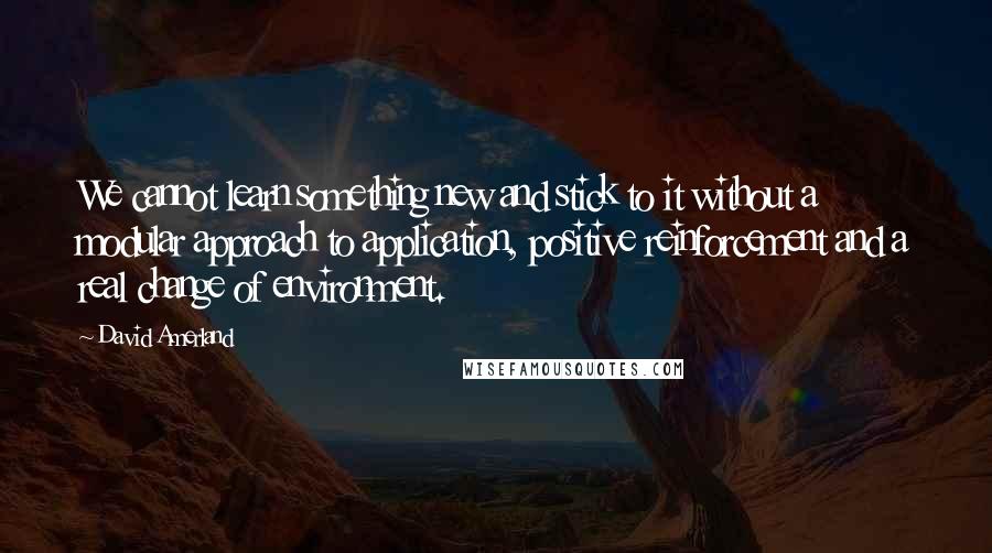 David Amerland Quotes: We cannot learn something new and stick to it without a modular approach to application, positive reinforcement and a real change of environment.