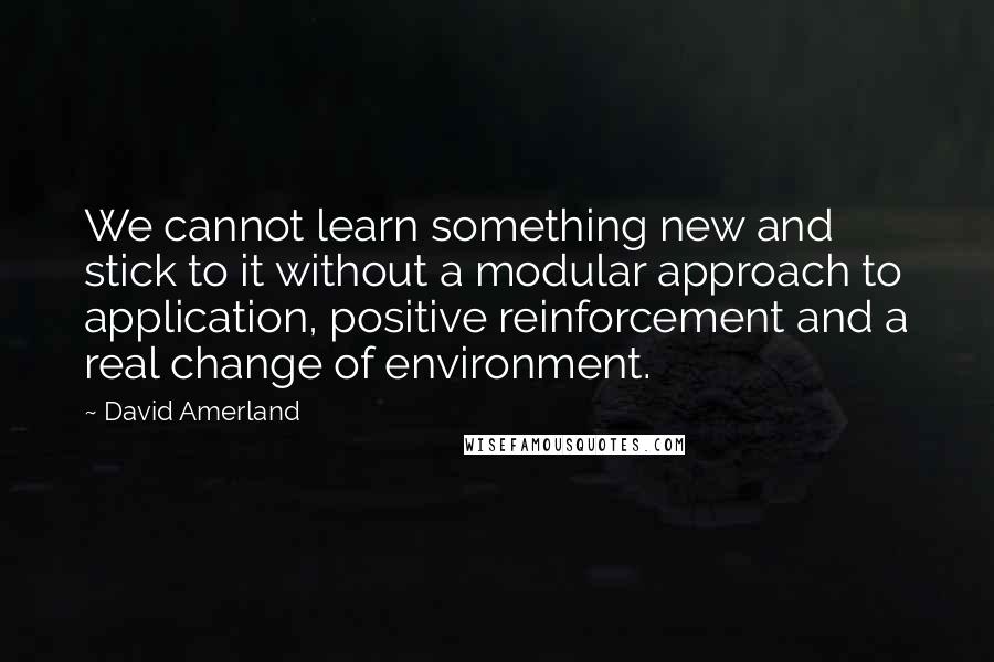 David Amerland Quotes: We cannot learn something new and stick to it without a modular approach to application, positive reinforcement and a real change of environment.