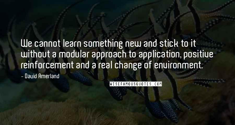 David Amerland Quotes: We cannot learn something new and stick to it without a modular approach to application, positive reinforcement and a real change of environment.