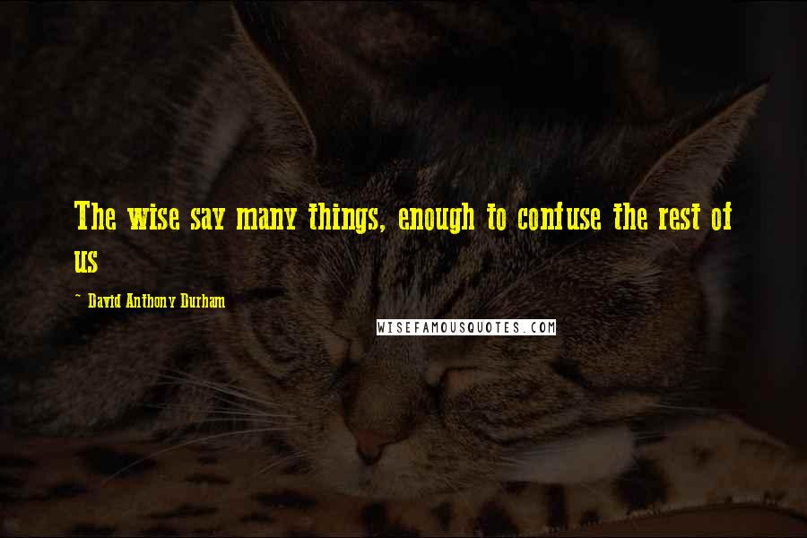 David Anthony Durham Quotes: The wise say many things, enough to confuse the rest of us