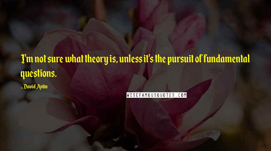 David Antin Quotes: I'm not sure what theory is, unless it's the pursuit of fundamental questions.