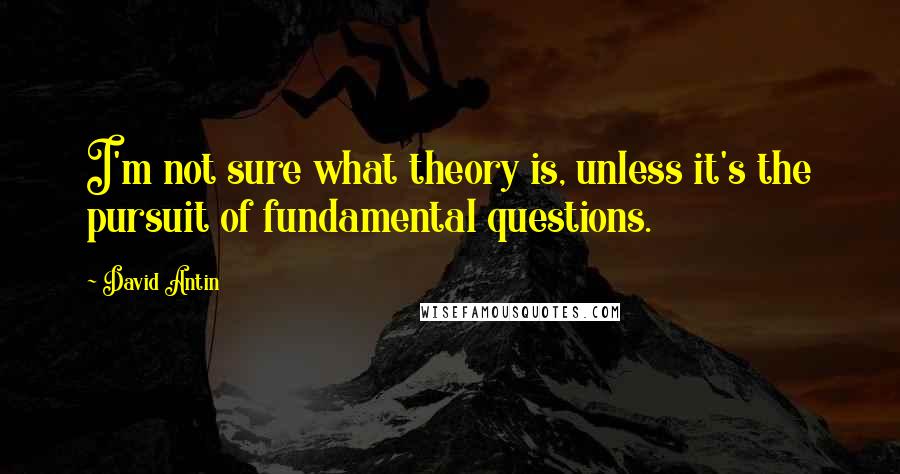 David Antin Quotes: I'm not sure what theory is, unless it's the pursuit of fundamental questions.