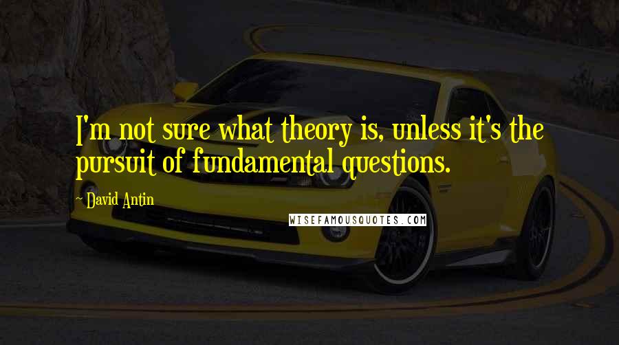 David Antin Quotes: I'm not sure what theory is, unless it's the pursuit of fundamental questions.