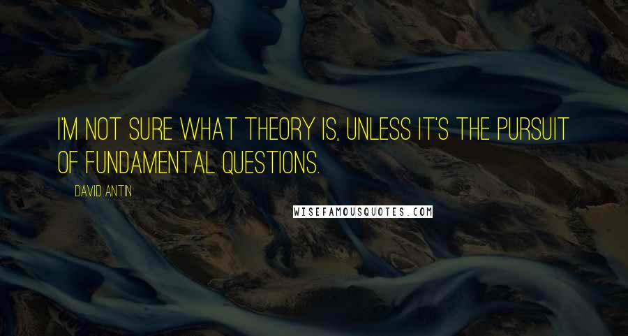 David Antin Quotes: I'm not sure what theory is, unless it's the pursuit of fundamental questions.