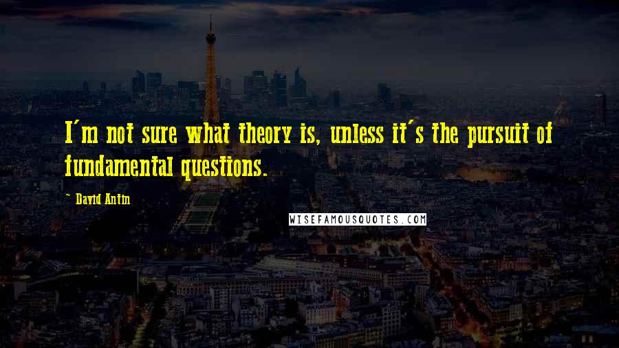 David Antin Quotes: I'm not sure what theory is, unless it's the pursuit of fundamental questions.