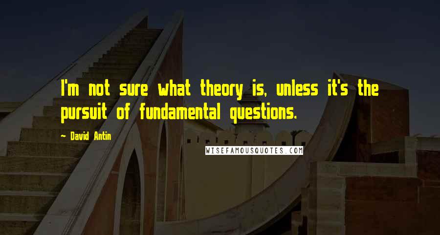 David Antin Quotes: I'm not sure what theory is, unless it's the pursuit of fundamental questions.