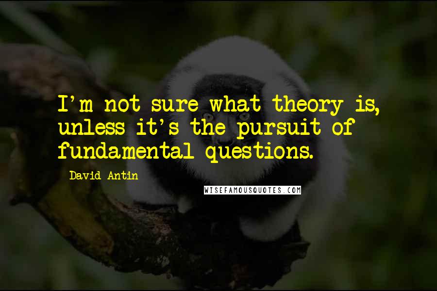 David Antin Quotes: I'm not sure what theory is, unless it's the pursuit of fundamental questions.