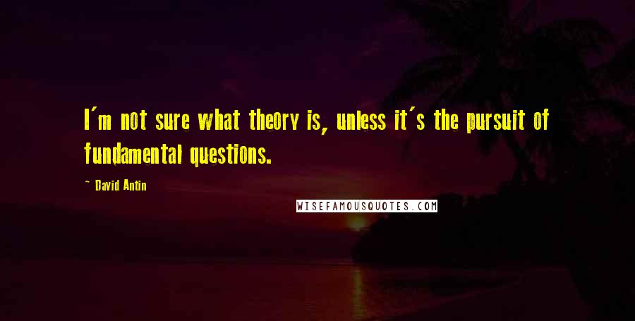 David Antin Quotes: I'm not sure what theory is, unless it's the pursuit of fundamental questions.