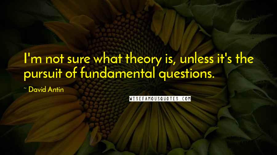 David Antin Quotes: I'm not sure what theory is, unless it's the pursuit of fundamental questions.