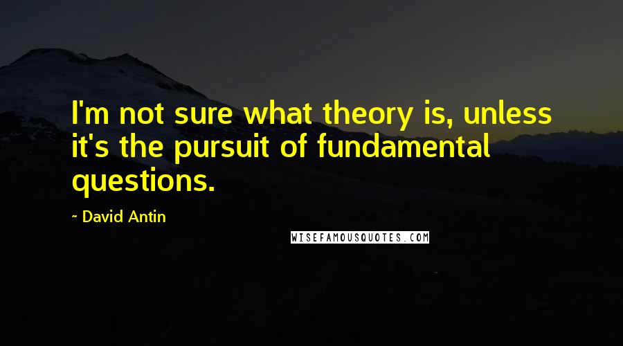 David Antin Quotes: I'm not sure what theory is, unless it's the pursuit of fundamental questions.